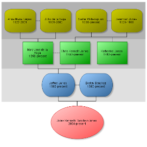 Hierarchical organizational chart